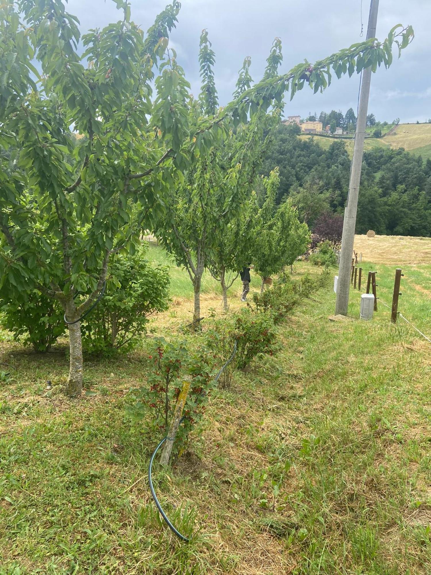 Agriturismo I Tassoni Villa Pavullo nel Frignano Eksteriør billede