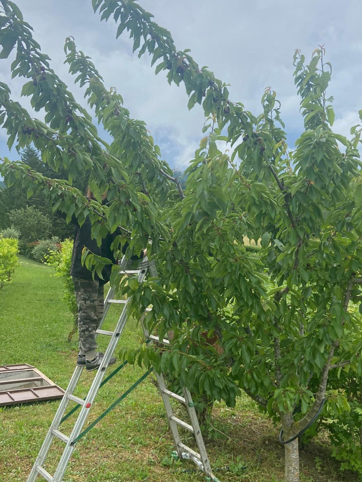 Agriturismo I Tassoni Villa Pavullo nel Frignano Eksteriør billede